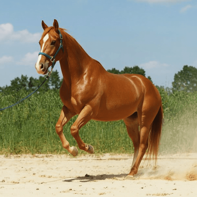 Rabbit American Quarter Horse Portrait - pet portrait AI free